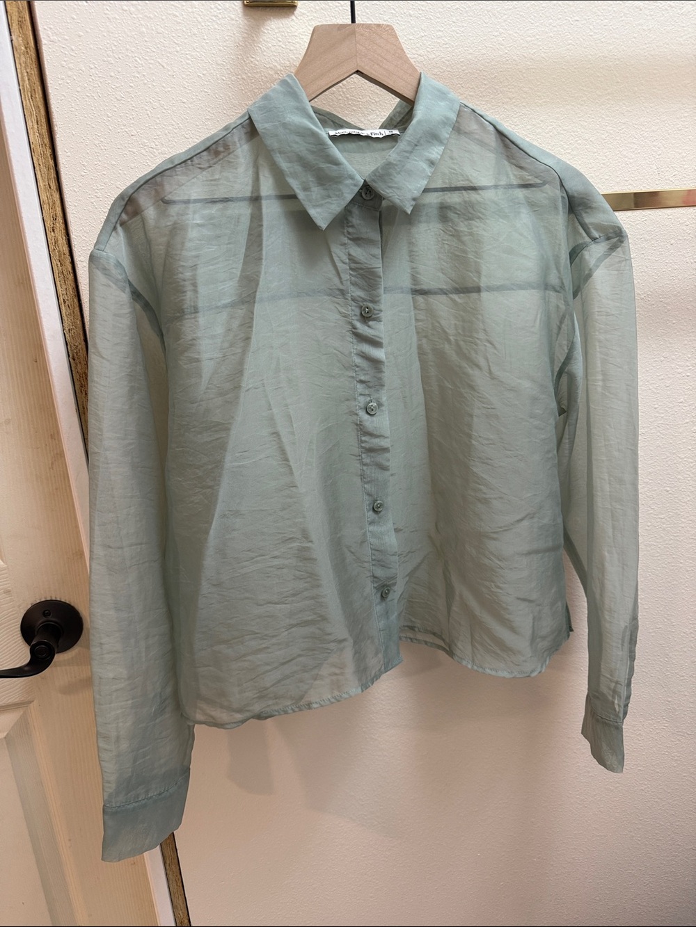 Abercrombie & Fitch Sheer Pale Green Button-Up Blouse